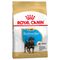 Royal Canin Rottweiler Puppy Sparpaket: 2 x 12 kg