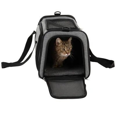 Sac de transport gris avec ouverture en maille, un chat tigré assis à l’intérieur, sangle d’épaule visible. Fond blanc, aucun texte ou marque apparente.