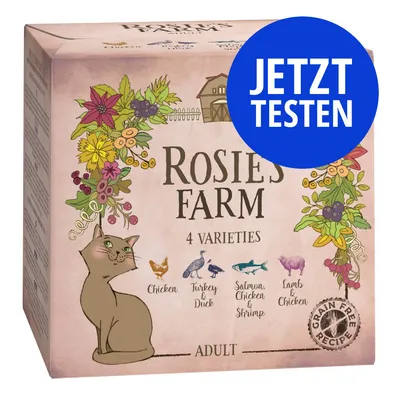 Rosie's Farm Adult Katzenfutter, 4 Sorten: Huhn, Truthahn & Ente, Lachs, Huhn & Garnele, Lamm & Huhn. Getreidefreie Rezeptur. Jetzt testen.