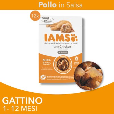 IAMS Advanced Nutrition Kitten Pollo in Salsa
