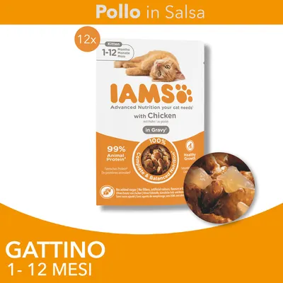  IAMS Advanced Nutrition Kitten Pollo in Salsa - Set %: 48 x 85 g