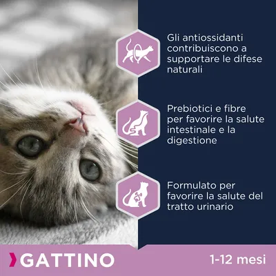 Gattino. Gli antiossidanti contribuiscono a supportare le difese naturali. Prebiotici e fibre per la salute intestinale e digestione. Formulato per la salute del tratto urinario. 1–12 mesi.