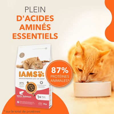 IAMS croquettes pour chat, saumon, 87 % protéines animales, 1+ ans, 3 kg, sans blé, 100 % nutrition complète et équilibrée, système immunitaire fort, sac recyclable, texte en anglais.