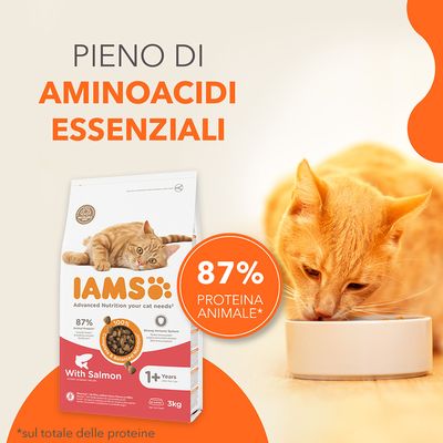 IAMS cibo per gatti con salmone, 87% proteine animali, per gatti da 1 anno. 100% alimentazione equilibrata, sistema immunitario forte, 3kg, confezione riciclabile, senza additivi artificiali.