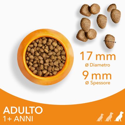 Crocchette per cani adulti 1+ anni, diametro 17 mm, spessore 9 mm, visibili in una ciotola arancione e sparse accanto con misure indicate.