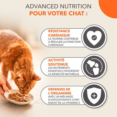 IAMS Land & Sea Collection pour chats 7+ ans, 48x85g : 12x poulet, 12x thon sauvage et hareng, 12x agneau et poivrons rouges, 12x saumon et cabillaud à la vapeur. Sans sucres ajoutés.