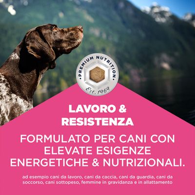 Eukanuba Special Care Working & Endurance Adult - 15 kg - NOVITÀ