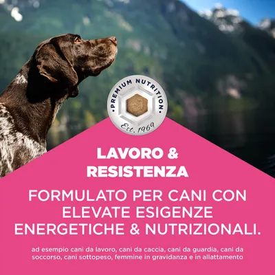 Eukanuba Special Care Working & Endurance Adult - 15 kg - NOVITÀ
