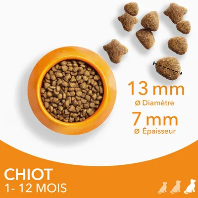 Croquettes pour chiot 1–12 mois, diamètre 13 mm, épaisseur 7 mm, bol orange rempli de croquettes et plusieurs croquettes visibles à côté avec indication des dimensions.
