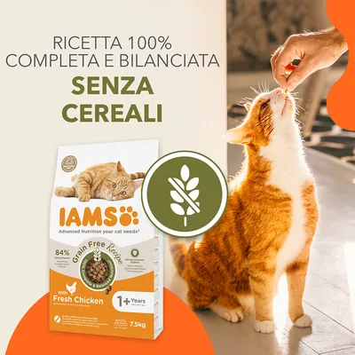 IAMS crocchette per gatti adulti, ricetta completa e bilanciata senza cereali. Testo visibile: 'RICETTA 100% COMPLETA E BILANCIATA SENZA CEREALI'. Confezione da 7,5 kg con pollo fresco.