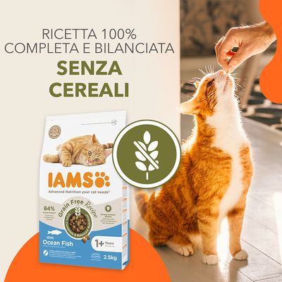 Confezione di crocchette IAMS per gatti con testo: Ricetta 100% completa e bilanciata, senza cereali. Simbolo spiga barrata. Gatto arancione riceve uno snack da una mano.