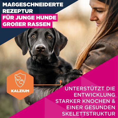 Eukanuba Premium Nutrition Junior Large & Giant Breed с курицей