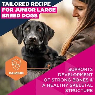 Eukanuba Premium Nutrition Junior Large & Giant Breed Chicken - dog dry food - Economy Pack: 2 x 15kg