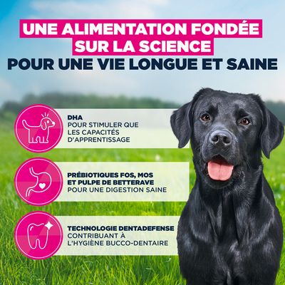 Eukanuba Premium Nutrition Junior Large et Giant Breed au poulet - lot économique : 2 x 15 kg