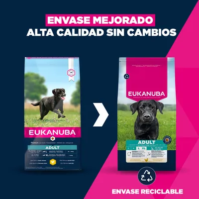 Eukanuba Premium Nutrition Adult Large & Giant Breed pollo - 15 kg