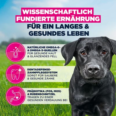 3 kg gratis! 18 kg Eukanuba Premium Nutrition mit Huhn