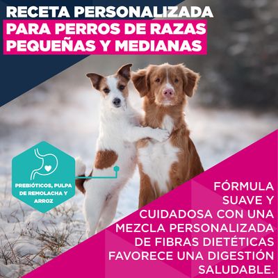 Eukanuba Premium Nutrition Adult Small & Medium Breed cordero y arroz - 3 kg