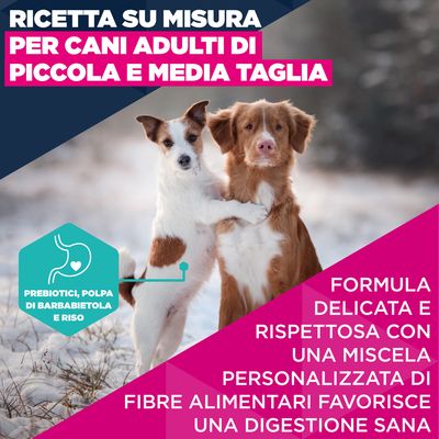 Eukanuba Premium Nutrition Adult Small & Medium Breed Agnello & Riso