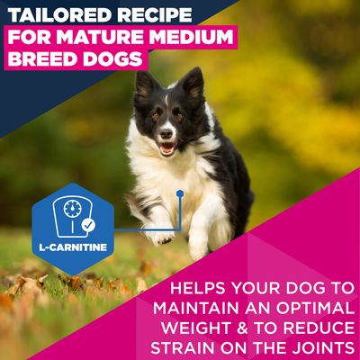 Eukanuba Premium Nutrition Mature Medium Breed kana - 15 kg