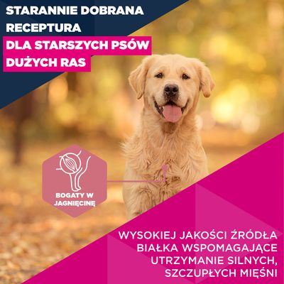 Eukanuba Premium Nutrition Senior Large & Giant Breed, jagnięcina i ryż