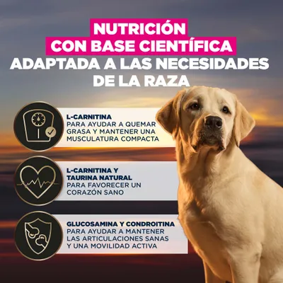 Nutrición basada en la ciencia, adaptada a la raza. L-carnitina para la quema de grasa, L-carnitina y taurina para la salud del corazón, glucosamina y condroitina para las articulaciones.