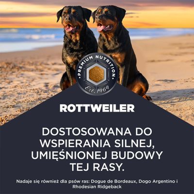 Premium Nutrition Rottweiler. Dostosowana karma do wspomagania silnej, muskularnej budowy ciała. Odpowiednia także dla Dogue de Bordeaux, Dogo Argentino oraz Rhodesian Ridgeback.