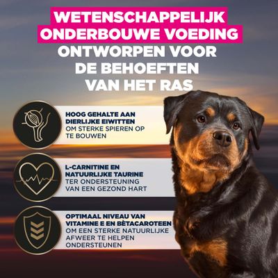 Wetenschappelijk ontwikkeld voer, hoog gehalte aan dierlijke eiwitten, L-carnitine en taurine, optimale hoeveelheid vitamine E en bètacaroteen.