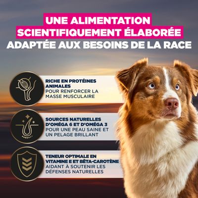 Aliment scientifiquement développé, adapté aux besoins spécifiques de la race : riche en protéine animale, oméga-6 et oméga-3 pour la peau et la fourrure, vitamine E et bêta-carotène pour les défenses immunitaires.
