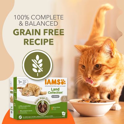 IAMS Advanced Nutrition Grain Free - Land Collection in Gravy