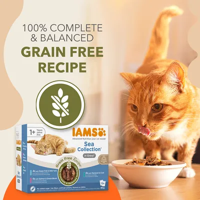 IAMS Sea Collection in Gravy, 1+ Years, Grain Free Recipe. 100% Complete & Balanced. 12x85g packs: Ocean Fish & Wild Tuna, Salmon & Green Beans, Mackerel & Cod. Cat eating from bowl shown.