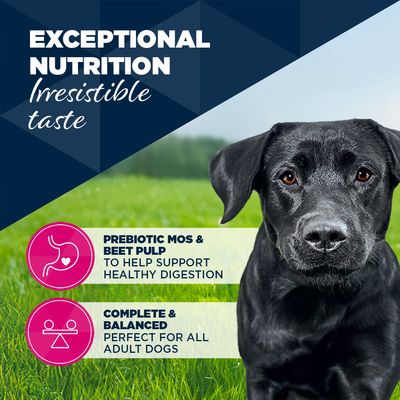 Eukanuba Adult Rich in Lamb with Potatoes - dog wet food