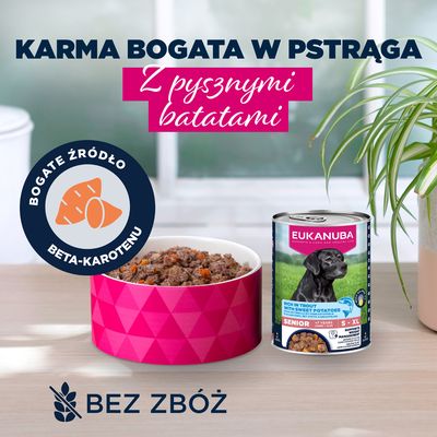 Eukanuba Senior, pstrąg z batatami