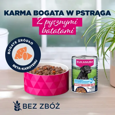 Eukanuba Senior, pstrąg z batatami - 24 x 400 g