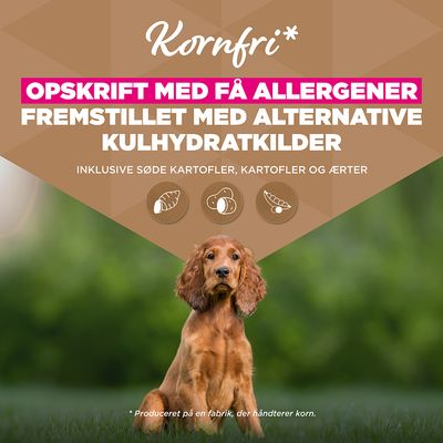 Eukanuba Grain Free Puppy Small & Medium Breed Havfisk - 3 kg