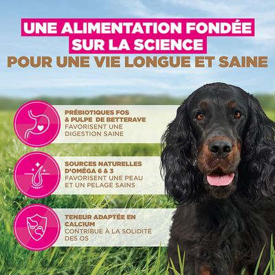 Eukanuba Grain Free Adult Gibier - lot économique : 2 x 12 kg