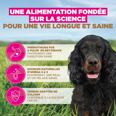 Eukanuba Grain Free Adult Gibier - lot économique : 2 x 12 kg
