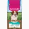 Eukanuba Grain Free Adult Small & Medium Lam 12 kg