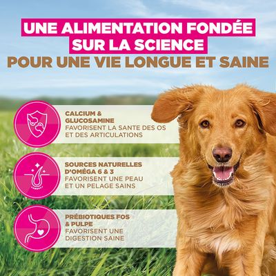 Eukanuba Grain Free Adult Large Agneau - lot économique : 2 x 12 kg