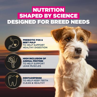 Nutrition shaped by science, designed for breed needs. Prebiotic FOS & beet pulp for digestion, high proportion of animal protein for muscles, Dentadefense for healthy teeth.