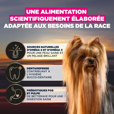 Conseil d’alimentation : Oméga 6 et 3 pour la peau et le pelage, Dentadefense pour l’hygiène bucco-dentaire, prébiotiques FOS et pulpe de betterave pour une digestion saine. Alimentation scientifiquement équilibrée.
