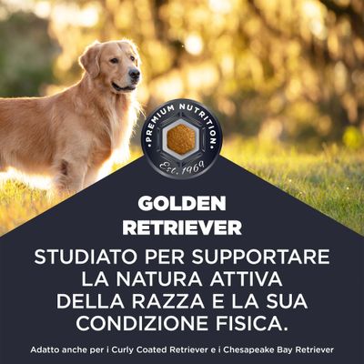 Premium Nutrition Est. 1969. Golden Retriever. Sviluppato per il sostegno della natura attiva e della condizione fisica della razza. Adatto anche per Curly Coated e Chesapeake Bay Retriever.