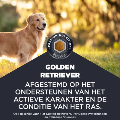 Golden Retriever. Premium voeding sinds 1969. Afgestemd op het actieve karakter en de conditie van het ras. Ook geschikt voor Flat Coated Retrievers, Portugese Waterhonden en Italiaanse Spinones.
