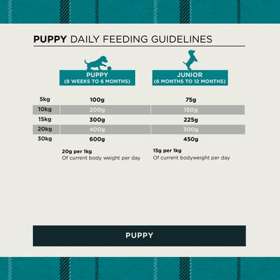 Feeding table for puppies: 5–30 kg, quantities for 8 weeks to 6 months and 6 to 12 months. 20 g or 15 g per kg body weight per day.