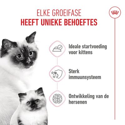 Royal Canin Mother & Babycat