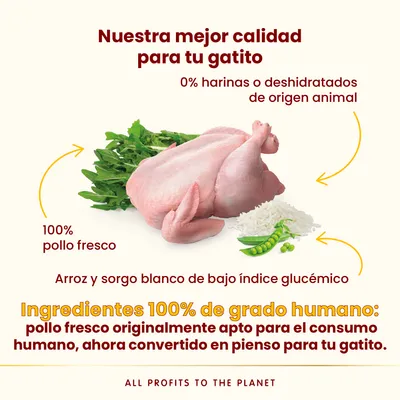 Almo Nature HFC Kitten pollo - 1,2 kg