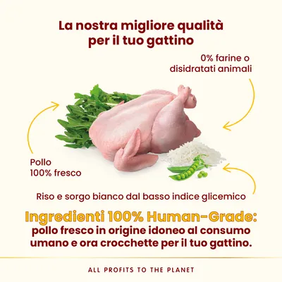 Almo Nature HFC Kitten Pollo - 1,2 kg