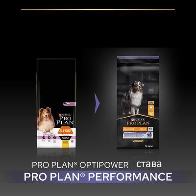 PURINA PRO PLAN All Size Adult Performance
