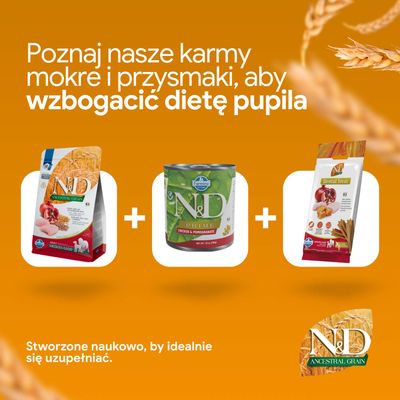 N&D karma sucha, N&D Prime karma mokra oraz N&D Dental Treats są prezentowane jako idealny suplement do zróżnicowanego żywienia.