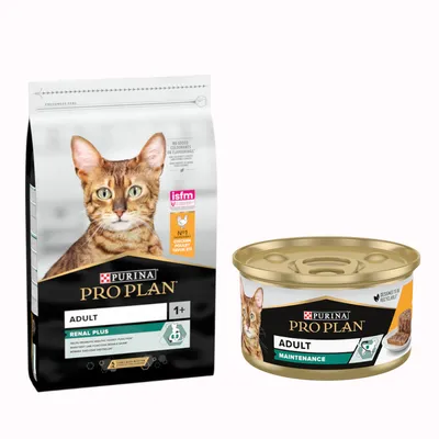 Pack bi-nutrition : PURINA PRO PLAN 10 kg de croquettes + 24 boîtes de 85 g - 10 kg Adult Original riches en poulet + 24 x 85 g Adult, poulet Pack bi-nutrition : PURINA PRO PLAN 10 kg de croquettes + 24 boîtes de 85 g - 10 kg Adult Original riches en poulet + 24 x 85 g Adult, poulet