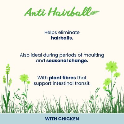 Almo Nature Functional Anti Hairball nedves eledel felnőtt macskáknak, csirkével. A csomagoláson macska és zöld növények láthatók.